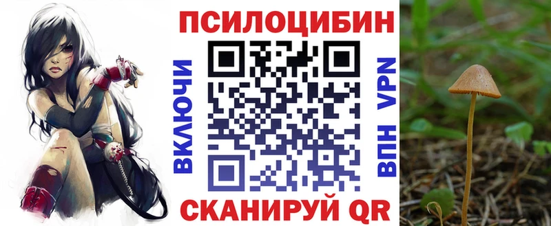 Галлюциногенные грибы Psilocybine cubensis  блэк спрут маркетплейс  Батайск 
